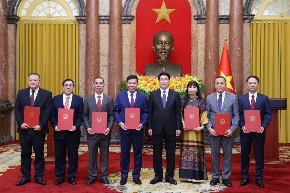 Chủ tịch nước bổ nhiệm đại sứ Việt Nam ở nước ngo&agrave;i - Ảnh 1.
