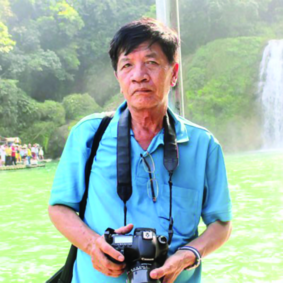 Những &ocirc; cửa nh&igrave;n ra h&agrave;ng c&acirc;y - Ảnh 2.