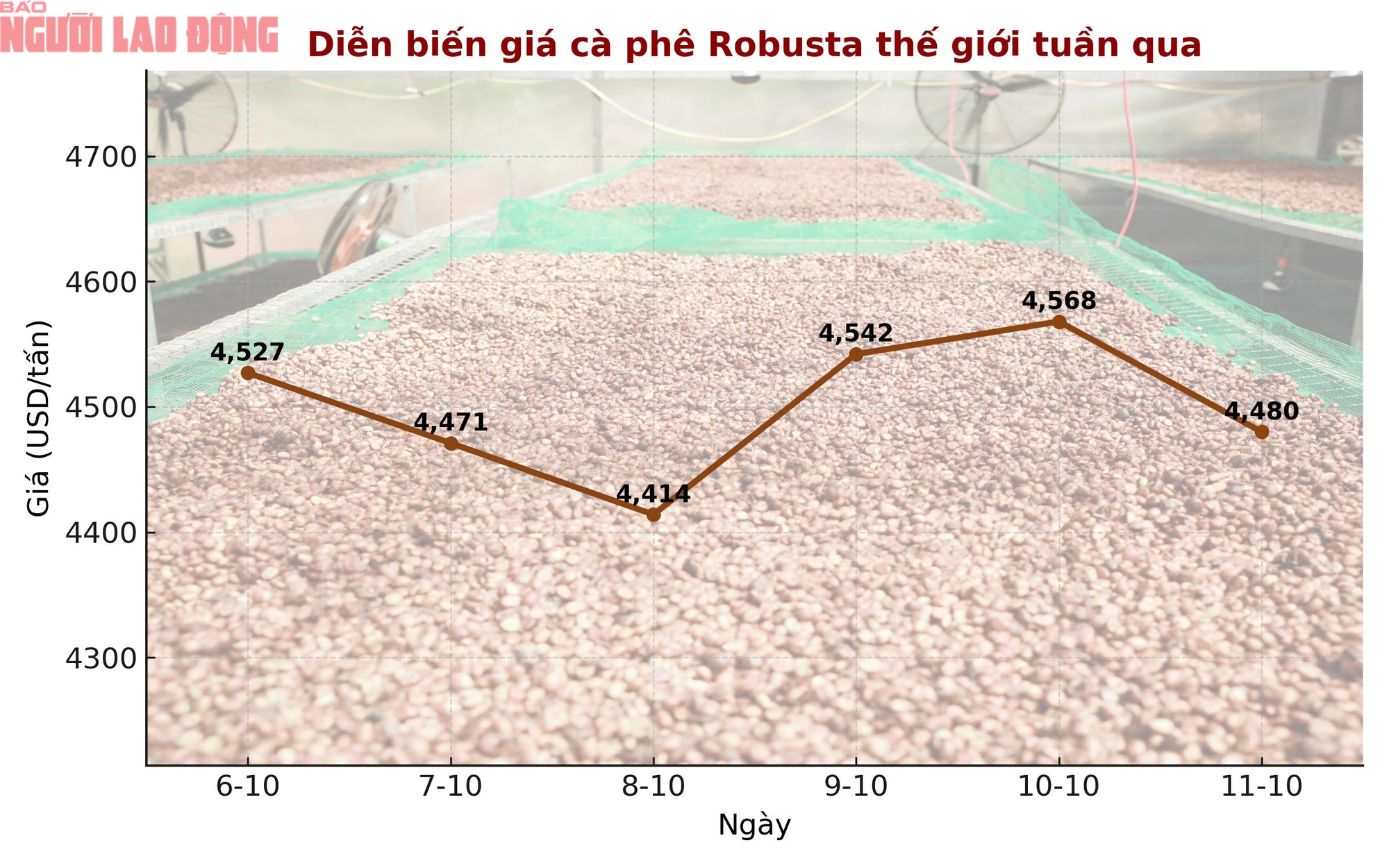 Gi&aacute; c&agrave; ph&ecirc; h&ocirc;m nay 11-10: Chốt tuần giảm, xuất khẩu c&agrave; ph&ecirc; to&agrave;n cầu ra sao? - Ảnh 1.