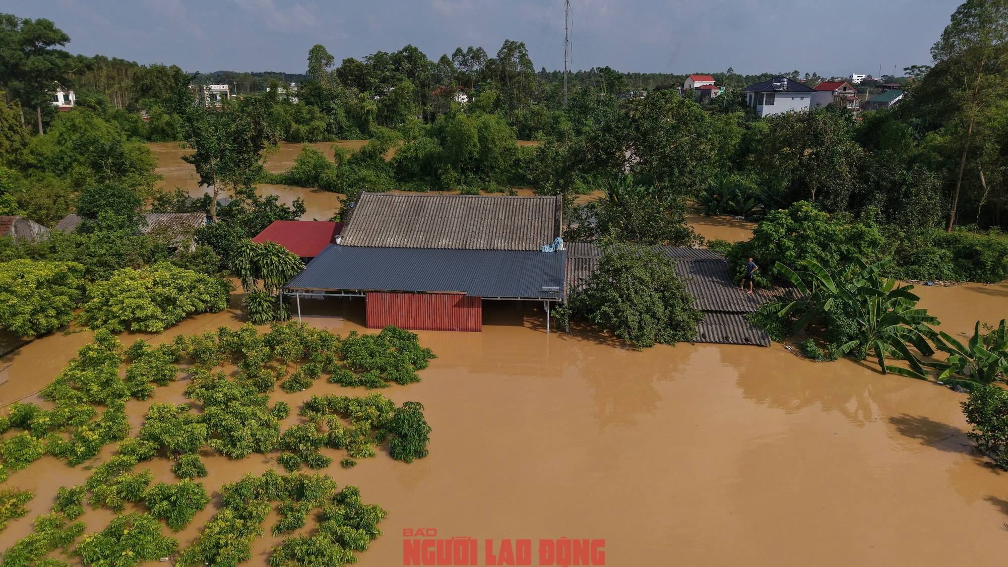 Ngập lụt kinh hoàng ở Tiên Lục Bắc Ninh , người dân sống trên mái nhà - Ảnh 9.