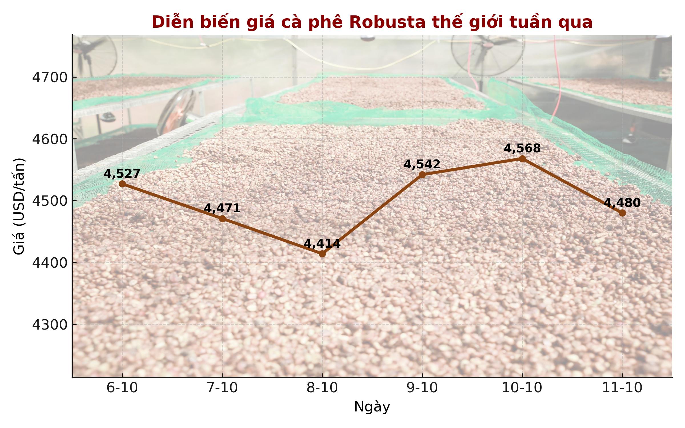 Giá cà phê hôm nay 12 - 10: Xuất khẩu cà phê đạt 9 tỉ USD - Ảnh 1.