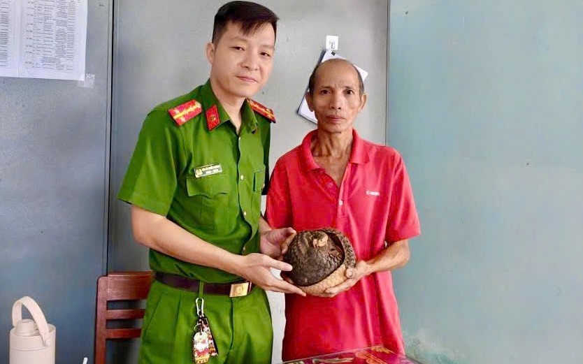 2 cá thể tê tê nằm trong Sách đỏ đi lạc vào nhà dân - Ảnh 3.