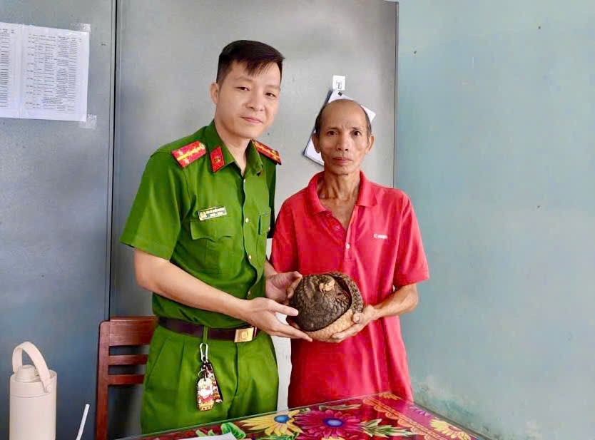 Phát hiện tê tê quý hiếm bò vào sân, người dân Gia Lai mang giao nộp - Ảnh 1.