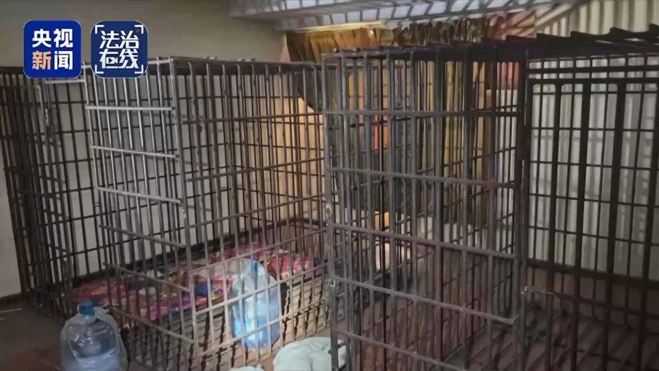 Trung Quốc bóc trần tội ác của “tứ đại gia tộc” lừa đảo ở Myanmar - Ảnh 3.
