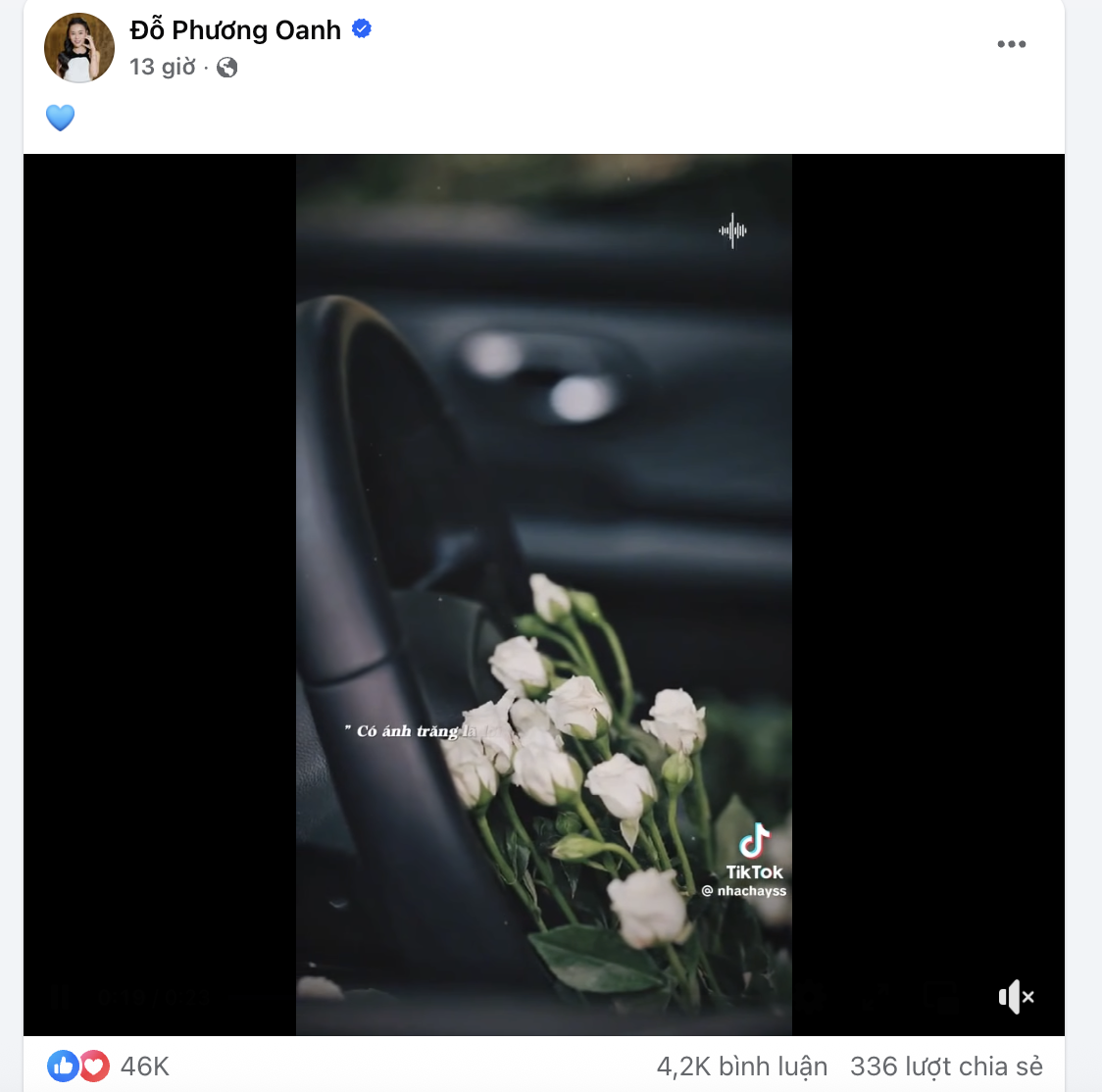 Động thái của Phương Oanh - Ảnh 1.