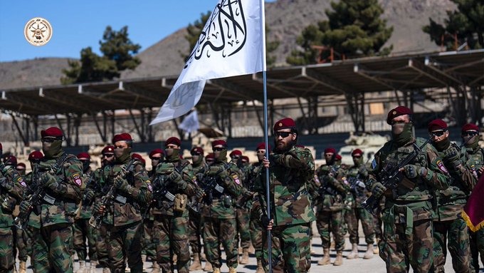 Afghanistan tấn c&ocirc;ng bi&ecirc;n giới Pakistan, căng thẳng leo thang - Ảnh 1.