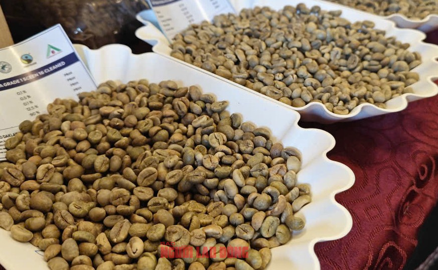 Gi&aacute; c&agrave; ph&ecirc; h&ocirc;m nay 14 - 10: Tăng mạnh đầu tuần cho Arabica v&agrave; Robusta - Ảnh 2.