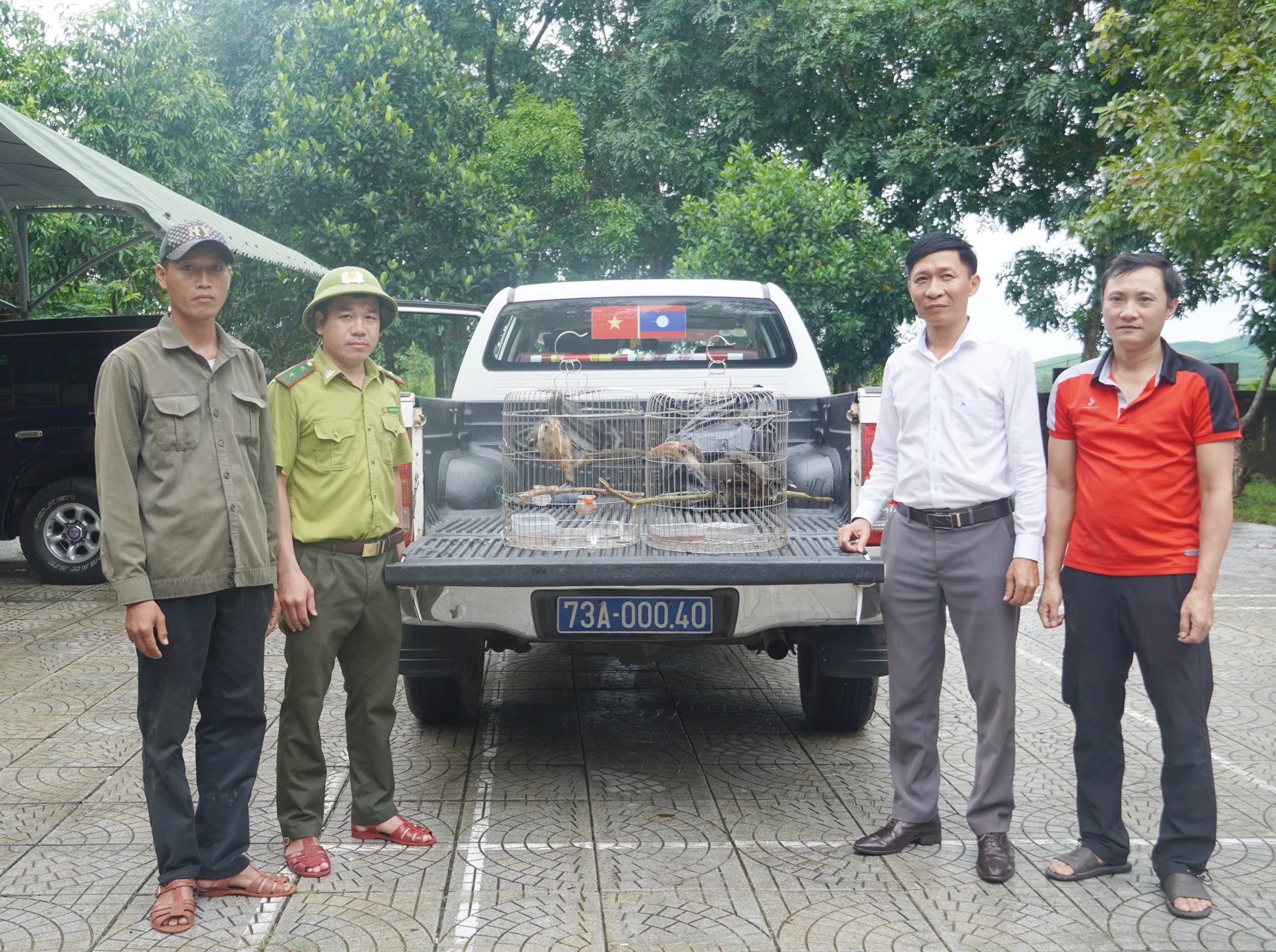 Niệc nâu qúy hiếm xuất hiện ở Quảng Trị và hành động bảo vệ động vật hoang dã - Ảnh 1.
