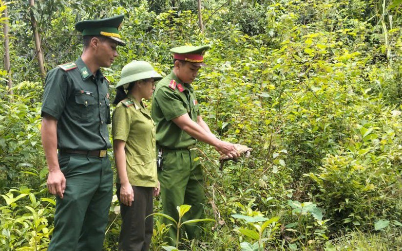 Người dân vùng biển bất ngờ bắt được rùa quý hiếm nằm trong Sách đỏ