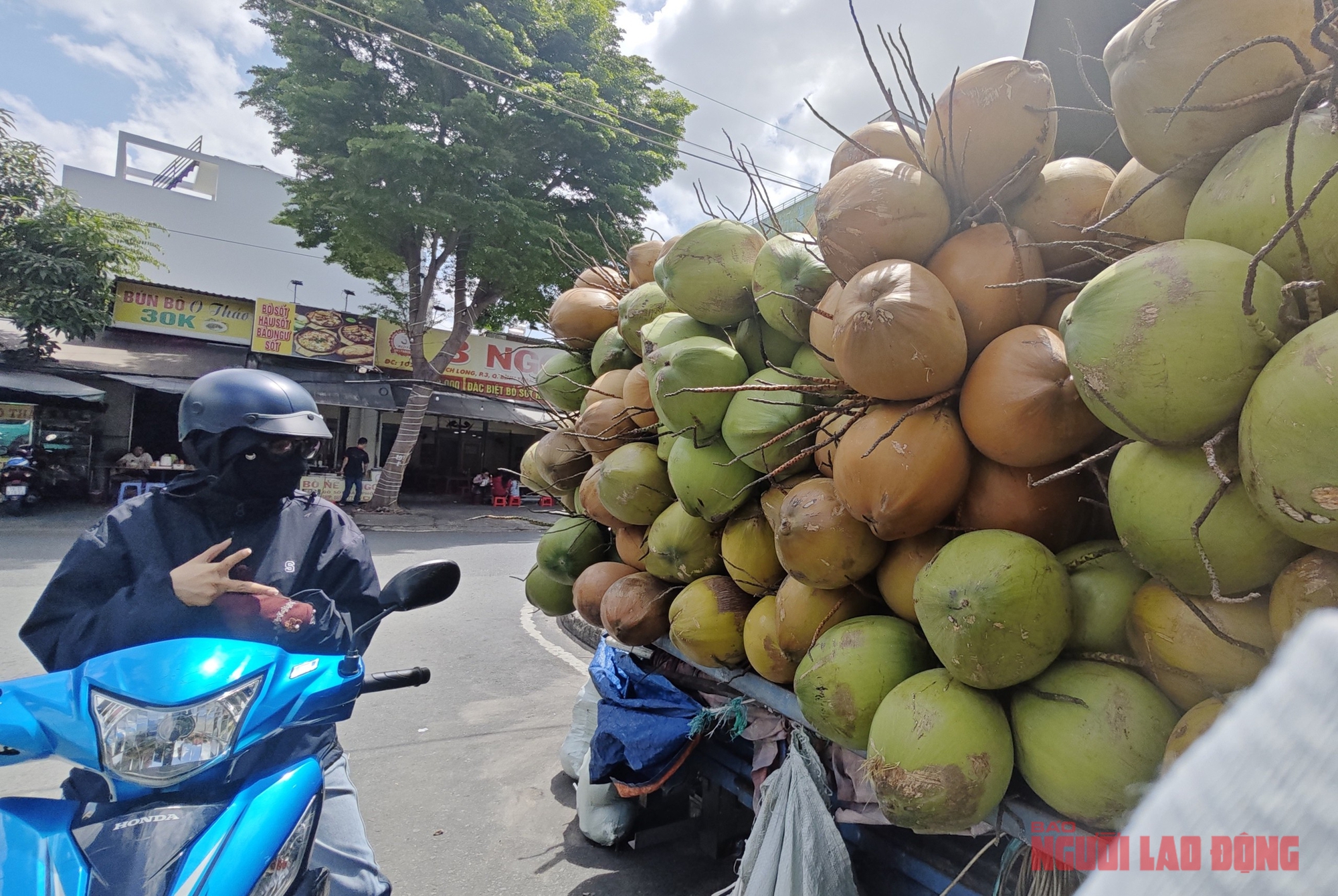 Giá dừa tươi giảm sâu: Nguyên nhân và giải pháp cho thị trường dừa Việt Nam - Ảnh 2.