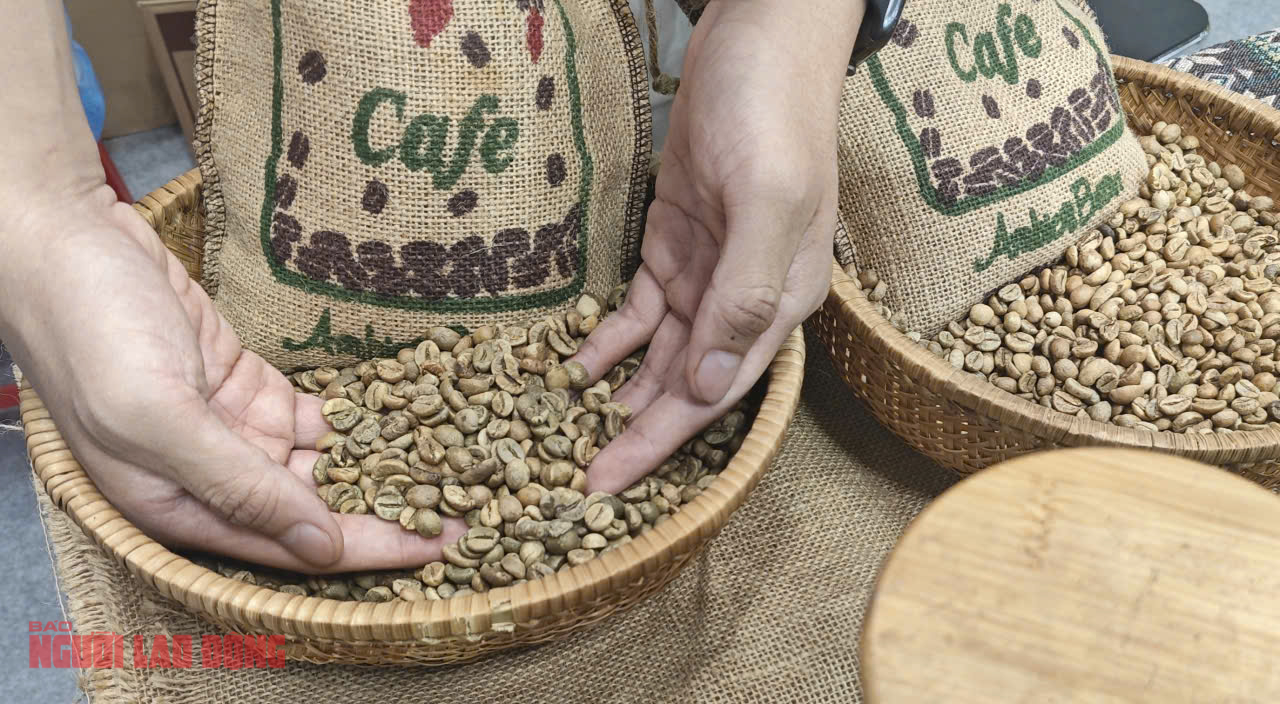 Gi&aacute; c&agrave; ph&ecirc; h&ocirc;m nay 16 - 10: Tăng trưởng c&agrave; ph&ecirc; Robusta v&agrave; sự cạnh tranh từ Trung Quốc - Ảnh 1.