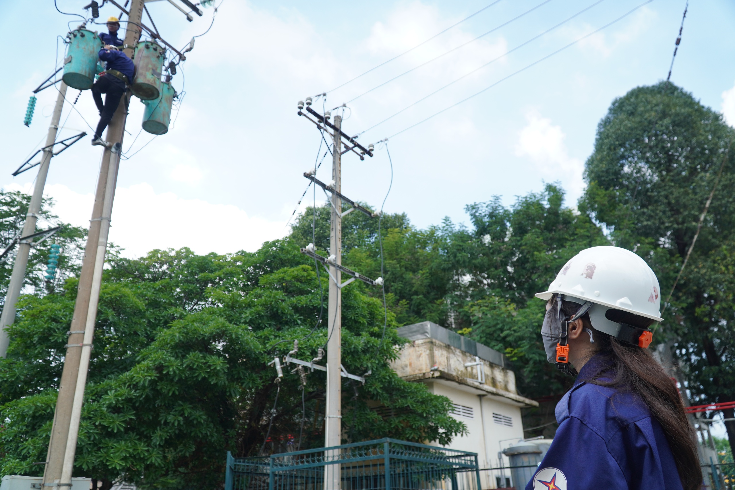 Những b&oacute;ng hồng "tr&oacute;t y&ecirc;u" ng&agrave;nh "phơi nắng"  - Ảnh 6.