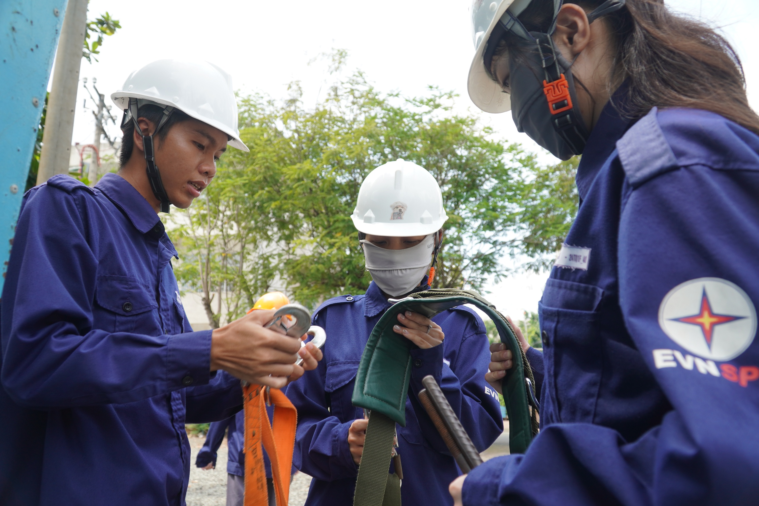 Những b&oacute;ng hồng "tr&oacute;t y&ecirc;u" ng&agrave;nh "phơi nắng"  - Ảnh 3.