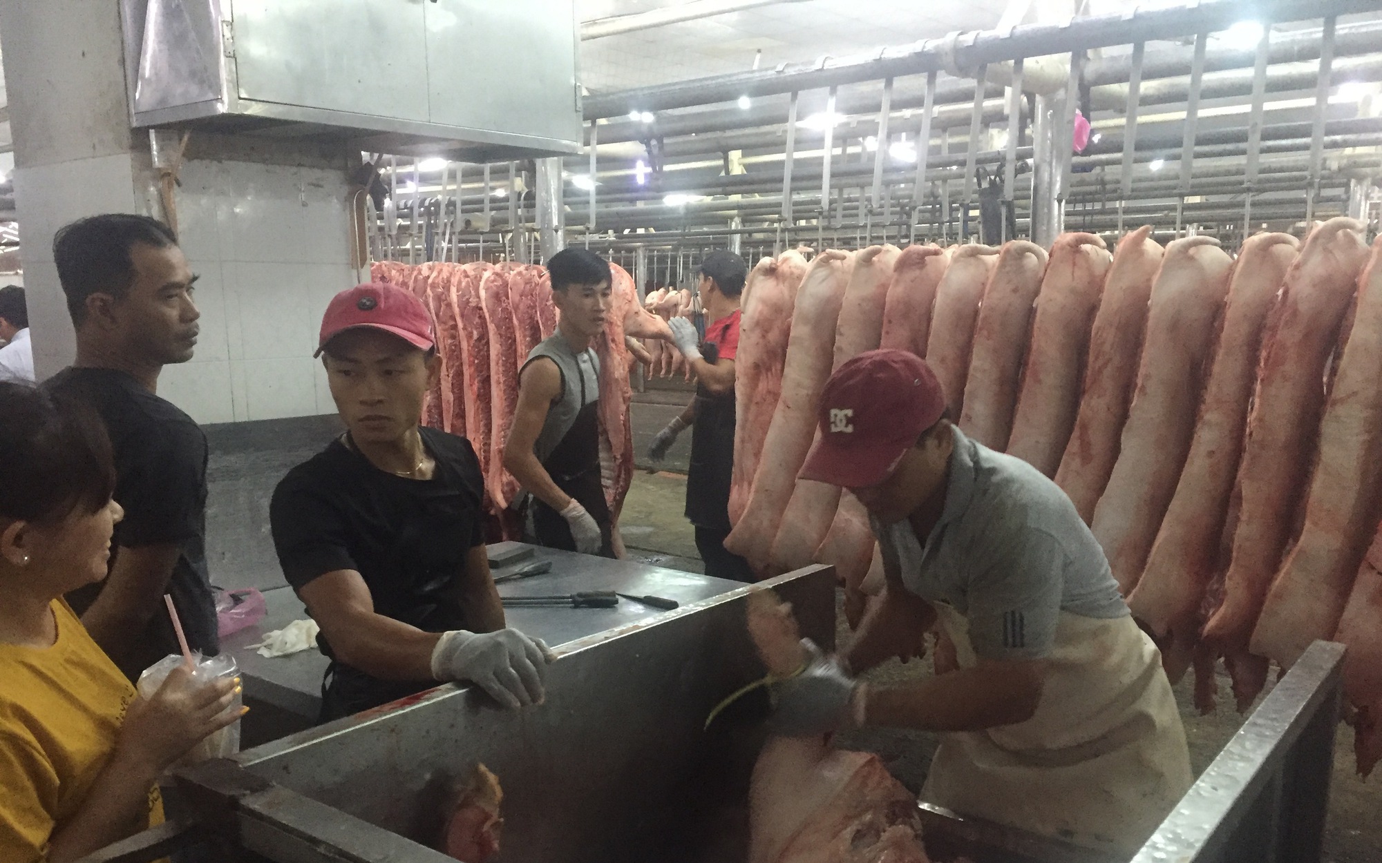 Tin tức giá heo hơi ngày 16-10: Heo "xấu" rớt giá chỉ còn 45.000 đồng/kg