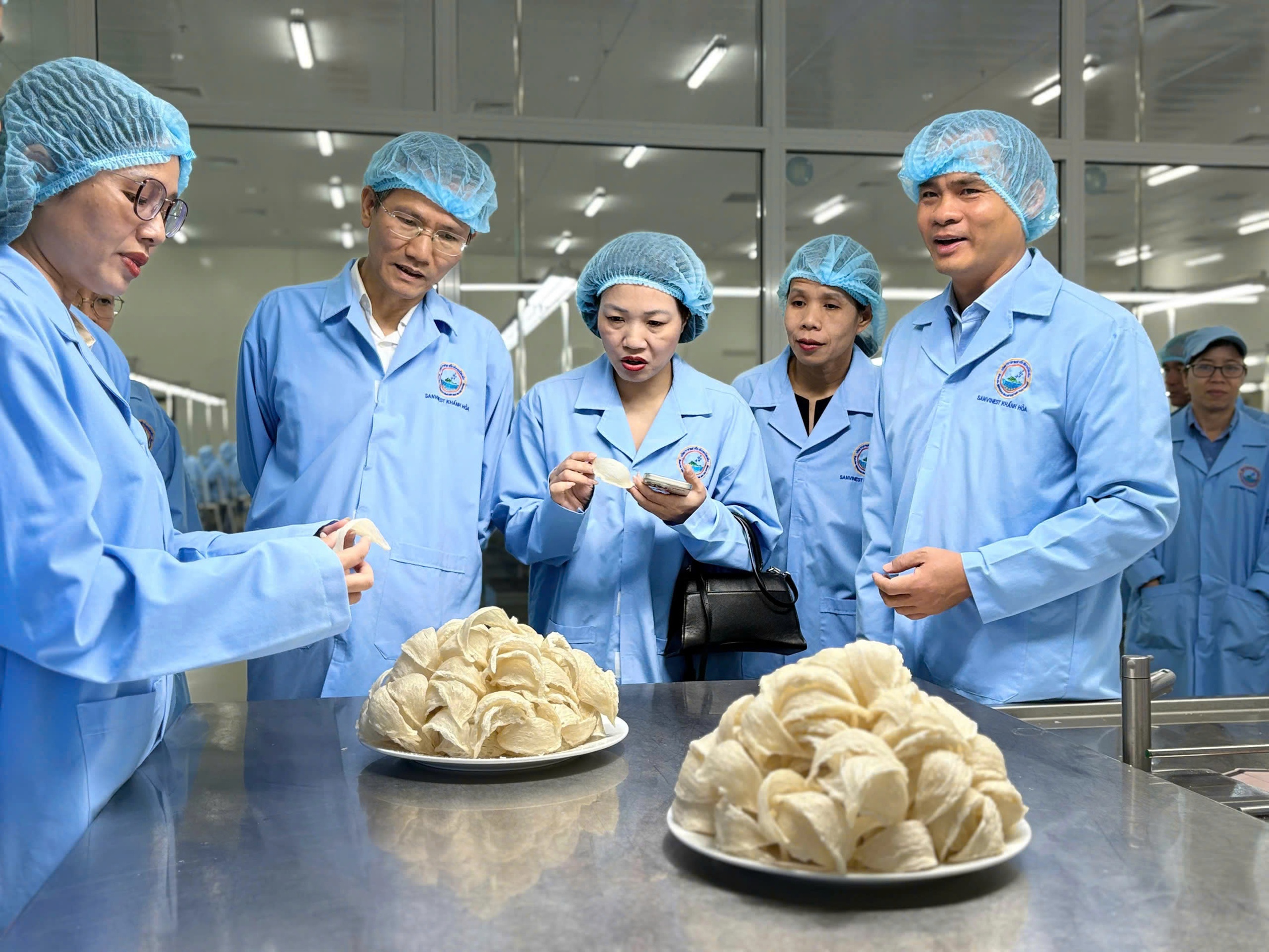 Bộ Nội vụ tham quan nh&agrave; m&aacute;y chế biến yến s&agrave;o Kh&aacute;nh H&ograve;a - Ảnh 1.