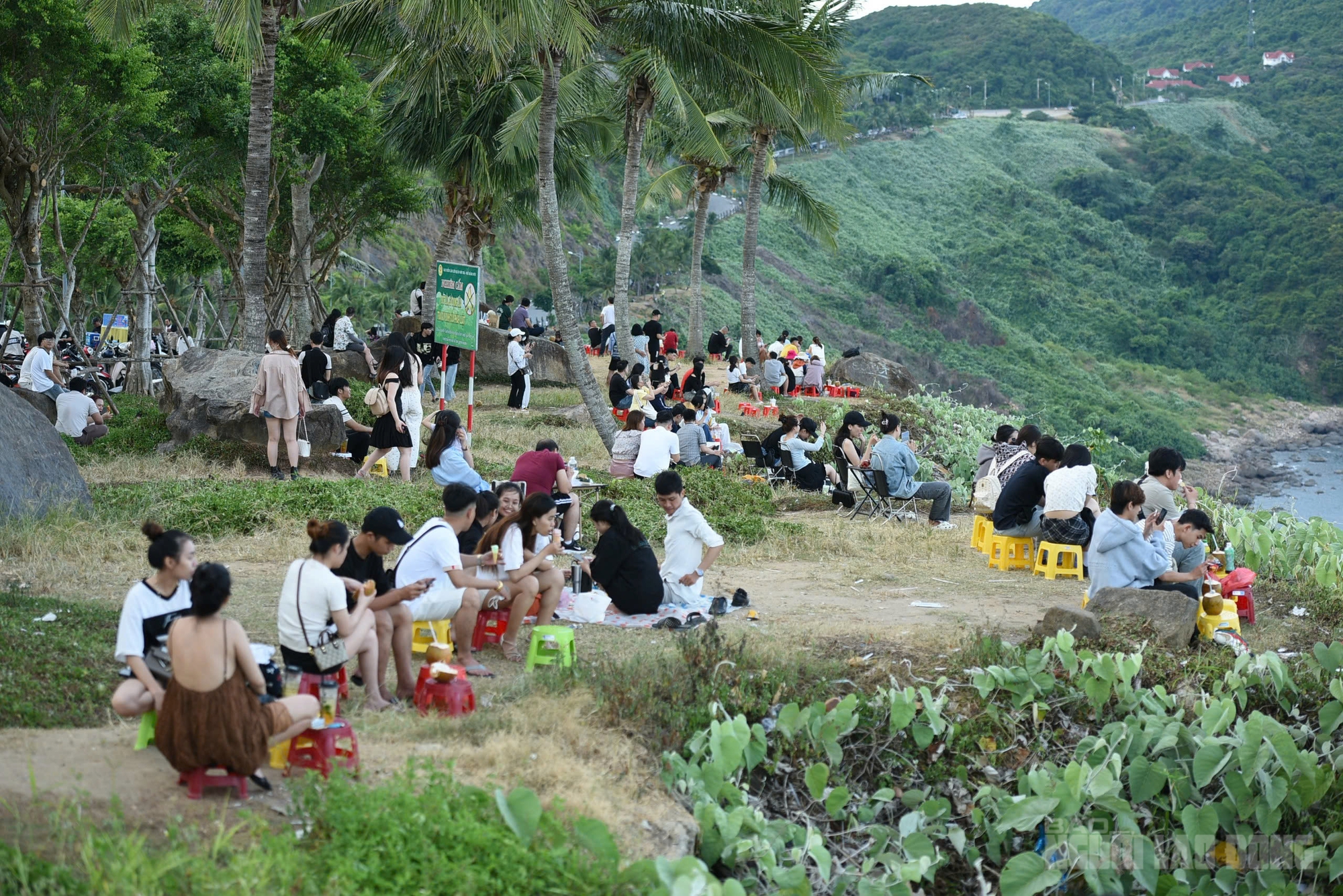 Ph&aacute;t triển b&aacute;n đảo Sơn Tr&agrave; th&agrave;nh biểu tượng du lịch sinh th&aacute;i xanh tại Đ&agrave; Nẵng - Ảnh 3.