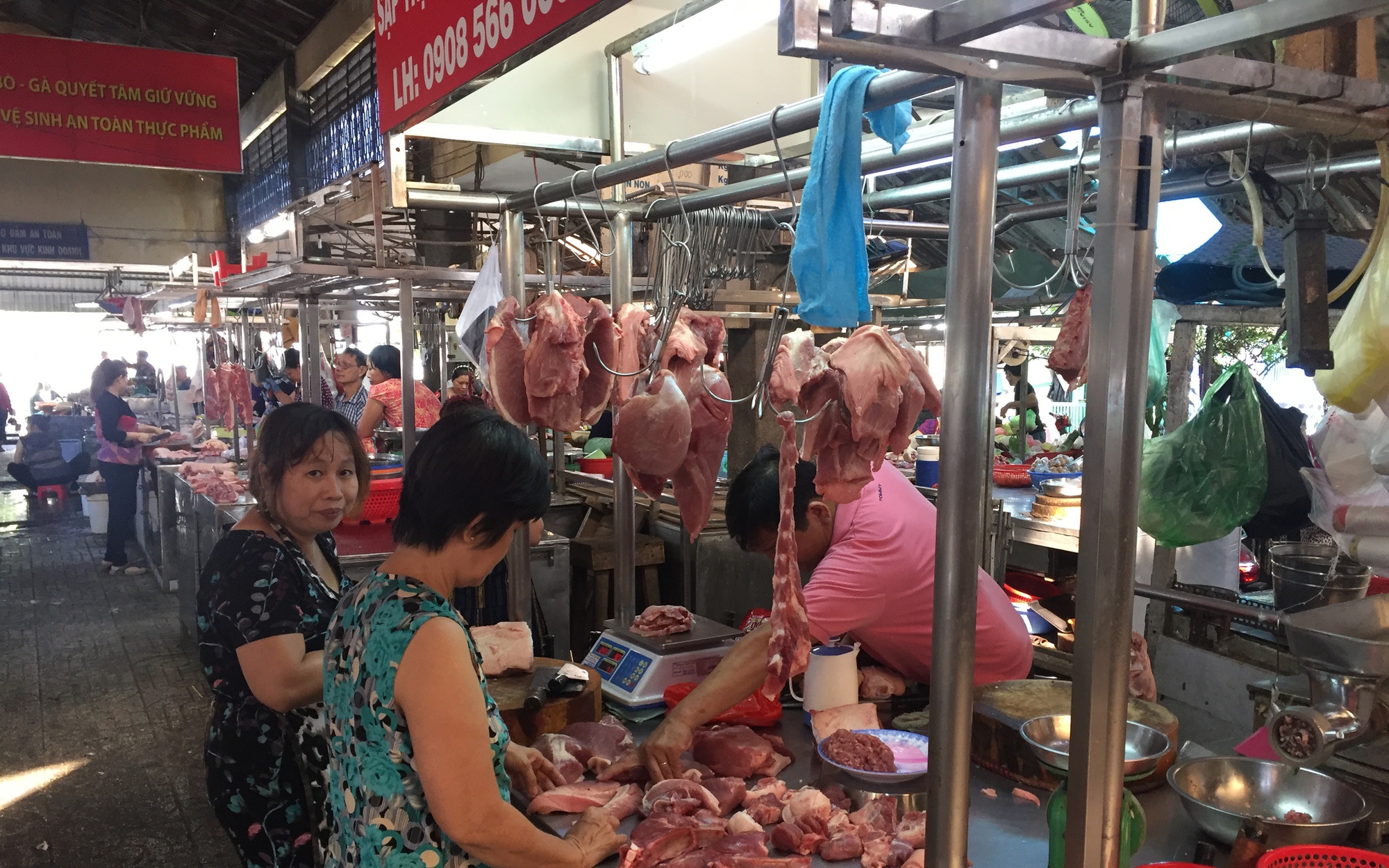 Giá heo hơi hôm nay, 17-10: Lý do khiến giá liên tục lao dốc
