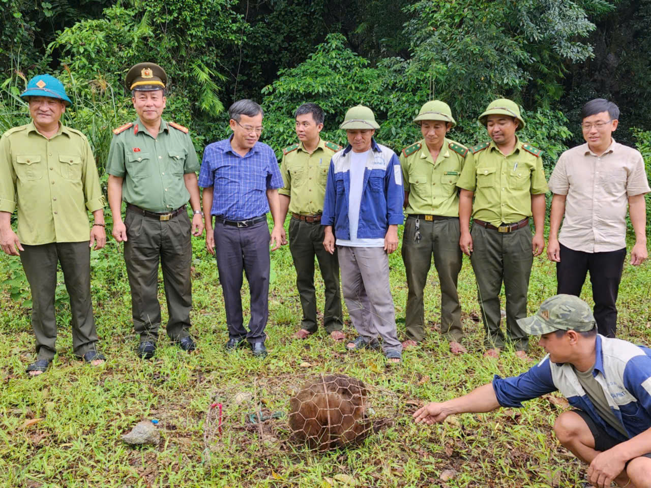 Tưởng trộm gà, ai ngờ “vị khách lạ” quý hiếm nặng 30kg - Ảnh 1.