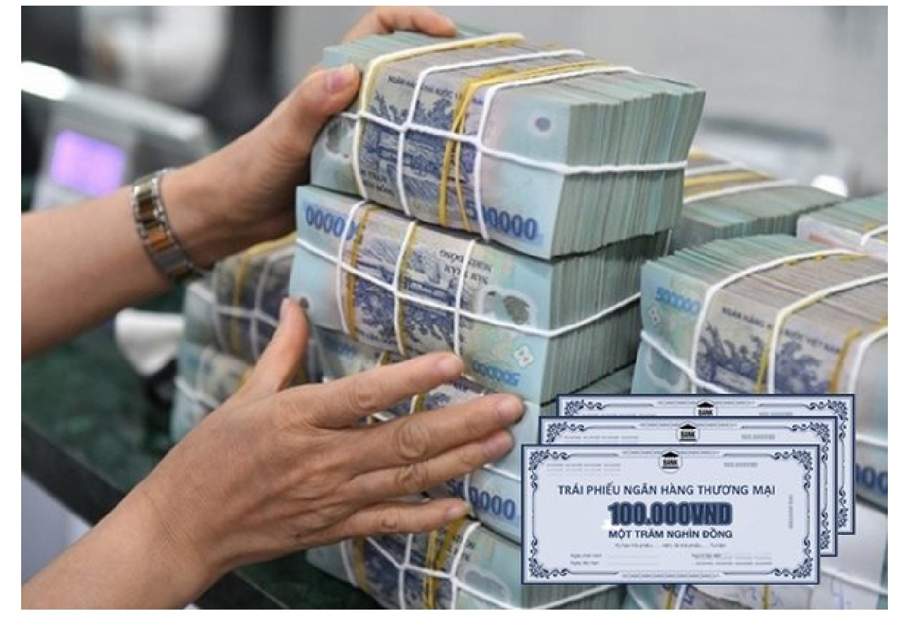 Thanh tra Ch&iacute;nh phủ ph&aacute;t hiện loạt vi phạm về ph&aacute;t h&agrave;nh tr&aacute;i phiếu của nhiều ng&acirc;n h&agrave;ng, c&ocirc;ng ty - Ảnh 1.