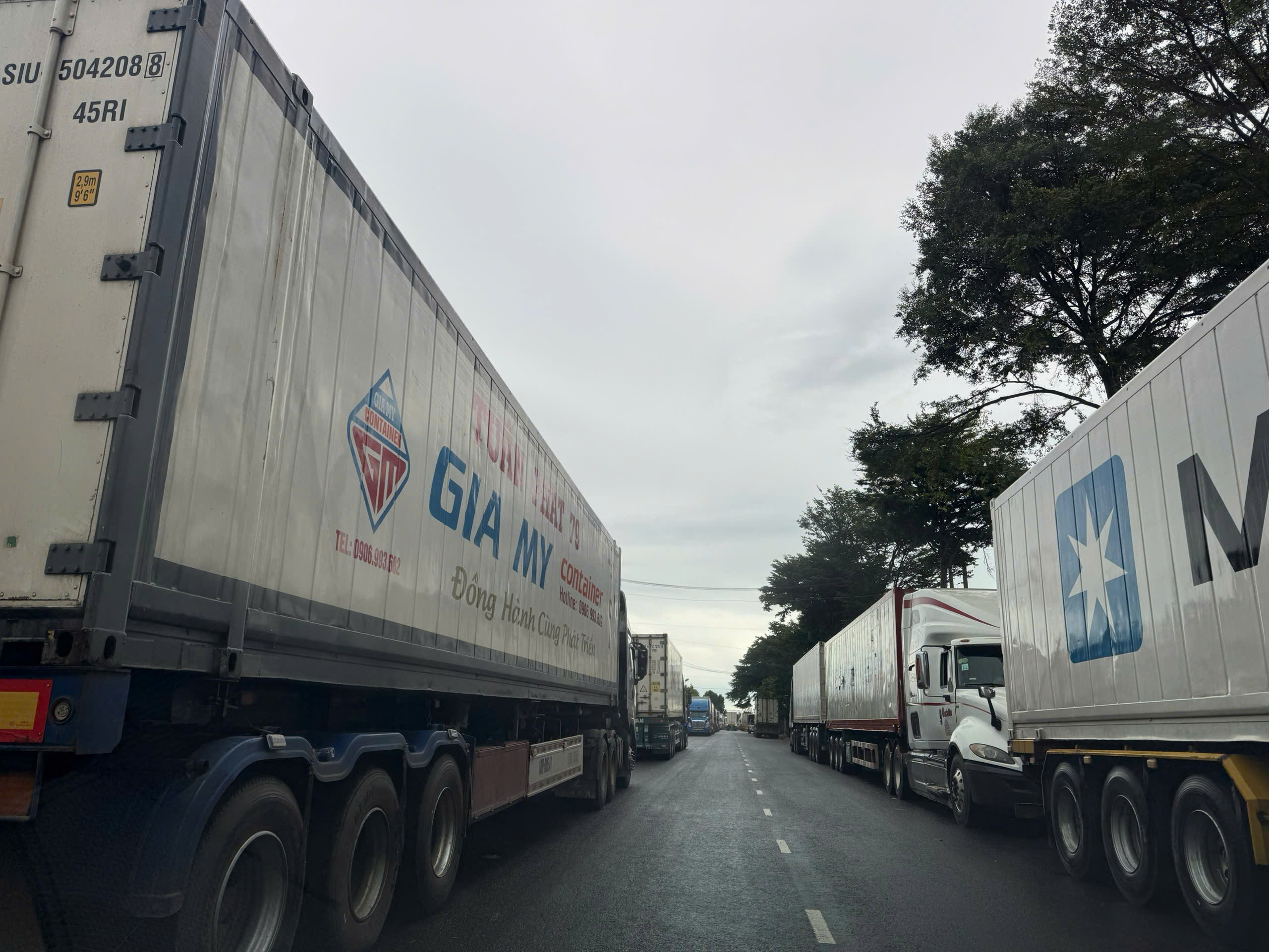 H&agrave;ng ng&agrave;n container sầu ri&ecirc;ng &ugrave;n ứ do kiểm nghiệm dư lượng h&oacute;a chất tạm ngừng - Ảnh 1.