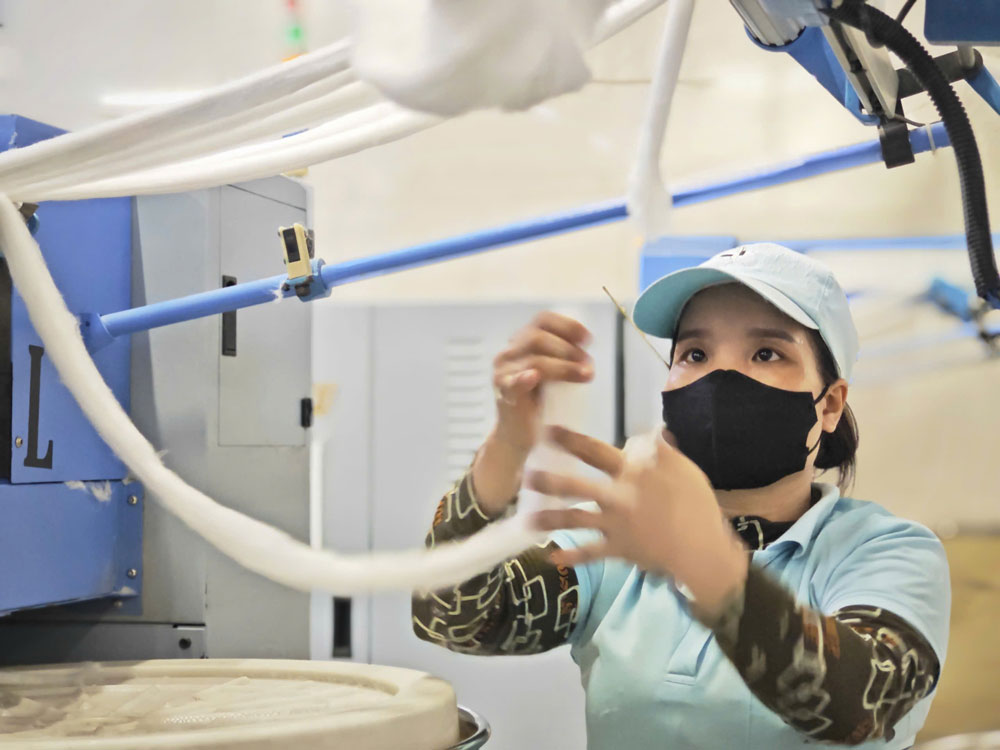 Khởi nghiệp xanh và thách thức phát triển bền vững trong kinh tế - Ảnh 1.