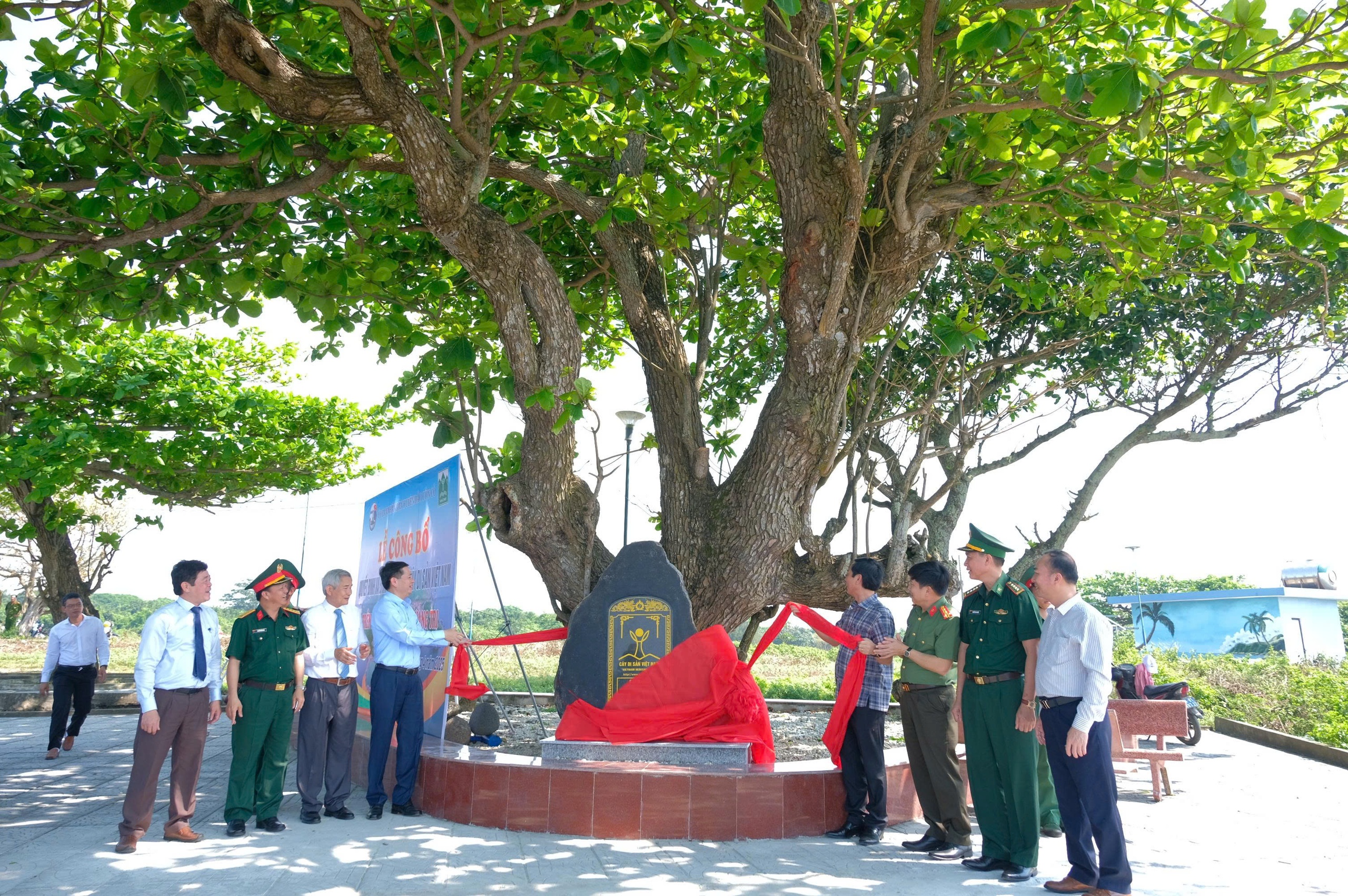 G&igrave;n giữ quần thể c&acirc;y di sản ở Cồn Cỏ - Ảnh 1.