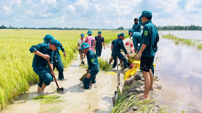 Đồng Th&aacute;p Mười ứng ph&oacute; mưa lũ - Ảnh 1.