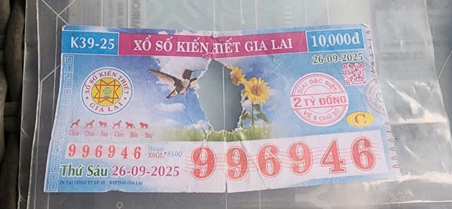 Vé số trúng 2 tỉ bị rách: Công ty XSKT Gia Lai trả lời chính thức - Ảnh 2.