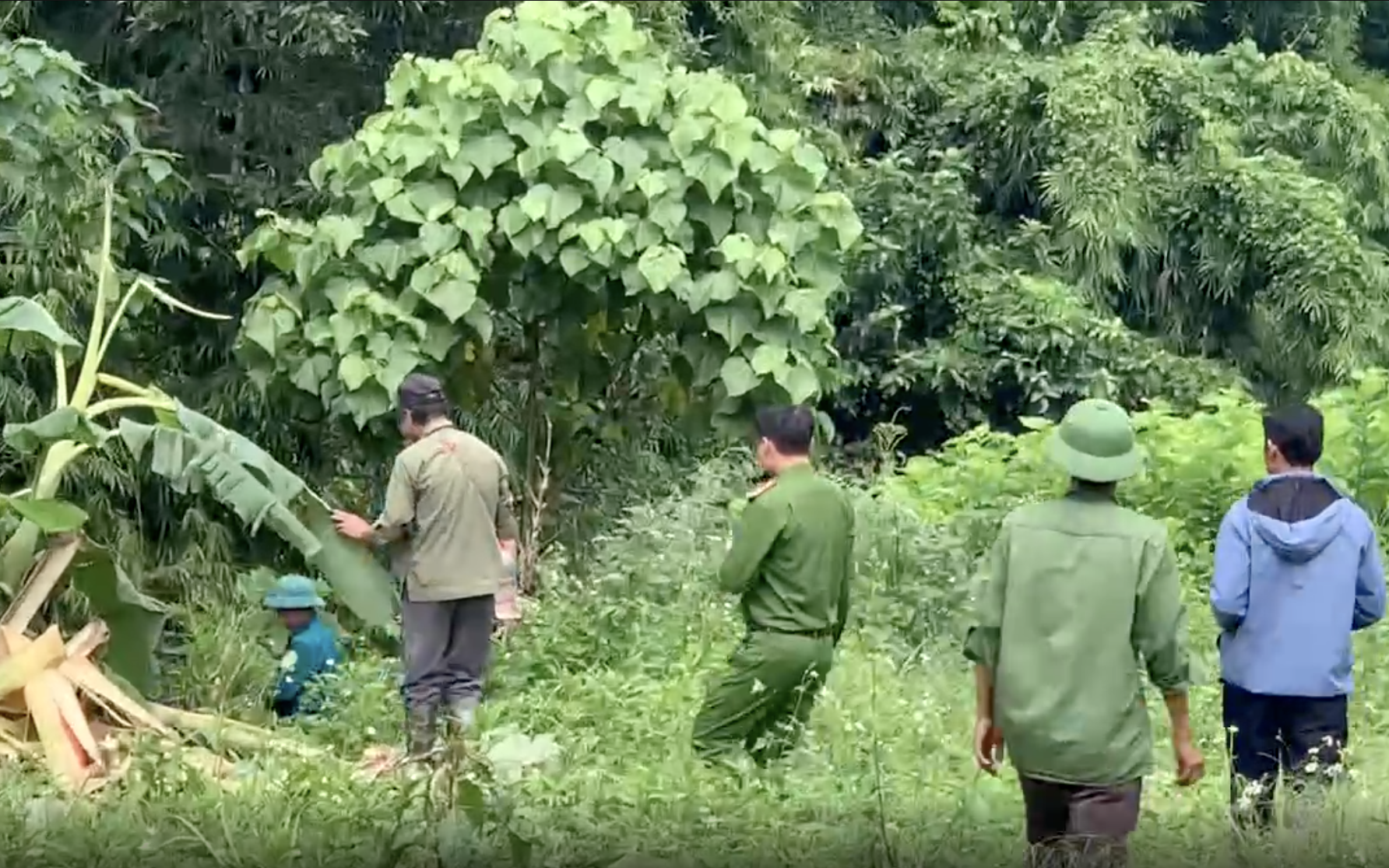 Người đàn ông chết ở bìa rừng, cạnh dấu chân nghi là voi