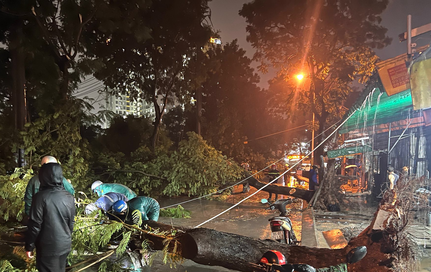 H&agrave;ng chục c&acirc;y xanh bị đỗ ng&atilde;, 2 mẹ con bị thương vong chuyển viện trong đ&ecirc;m - Ảnh 1.
