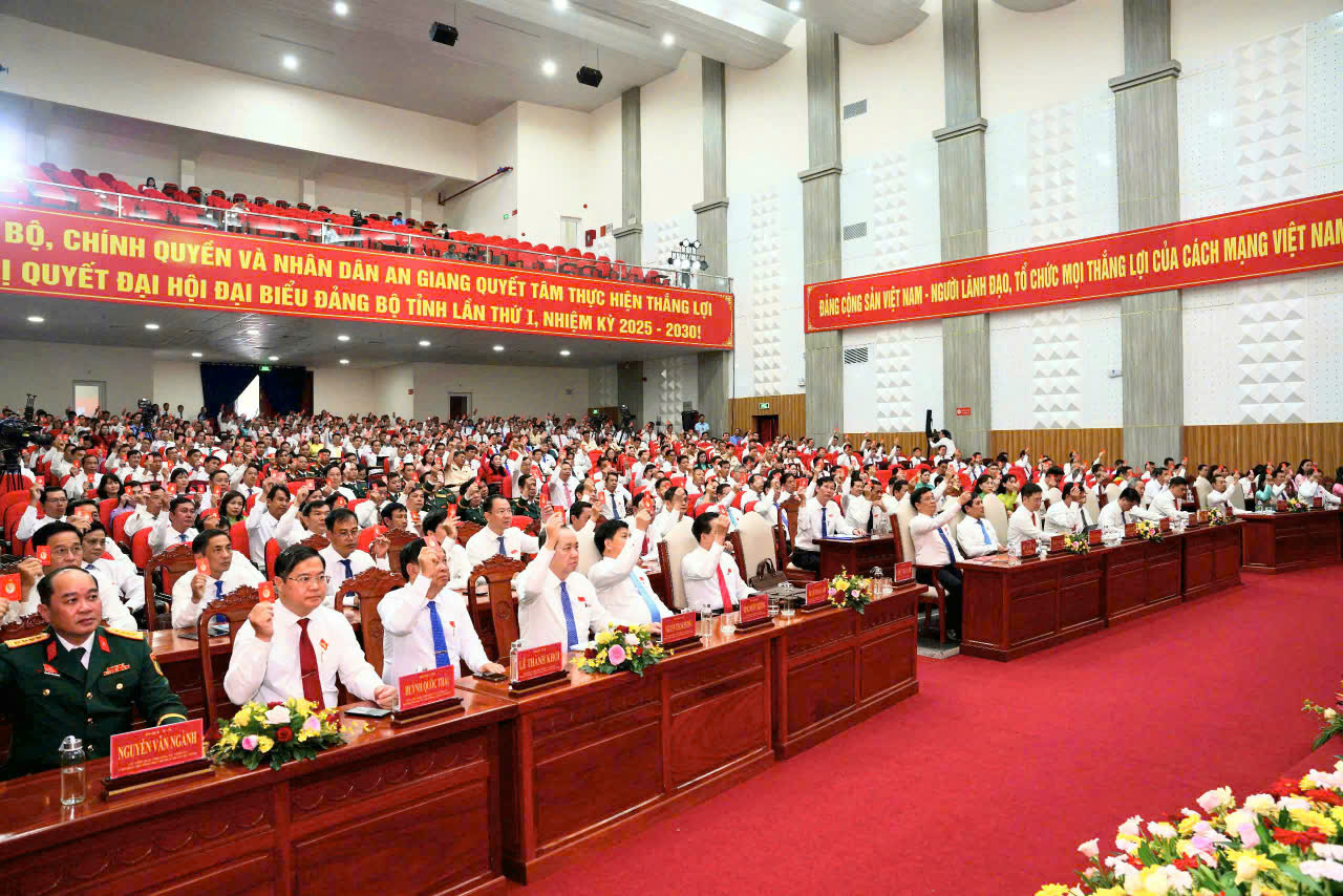 Nhiều hoạt động ý nghĩa trước thềm Đại hội Đại biểu Đảng bộ tỉnh An Giang- Ảnh 2.
