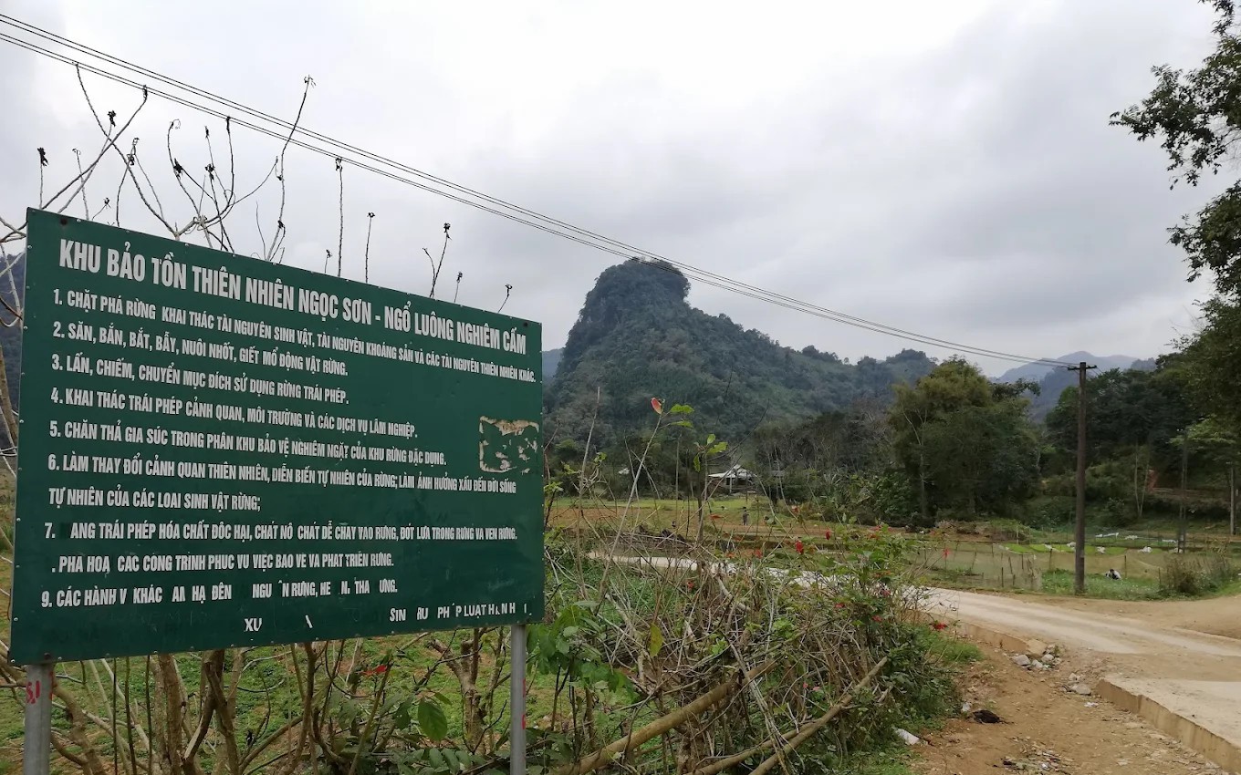 Hổ xuất hiện ở Phú Thọ