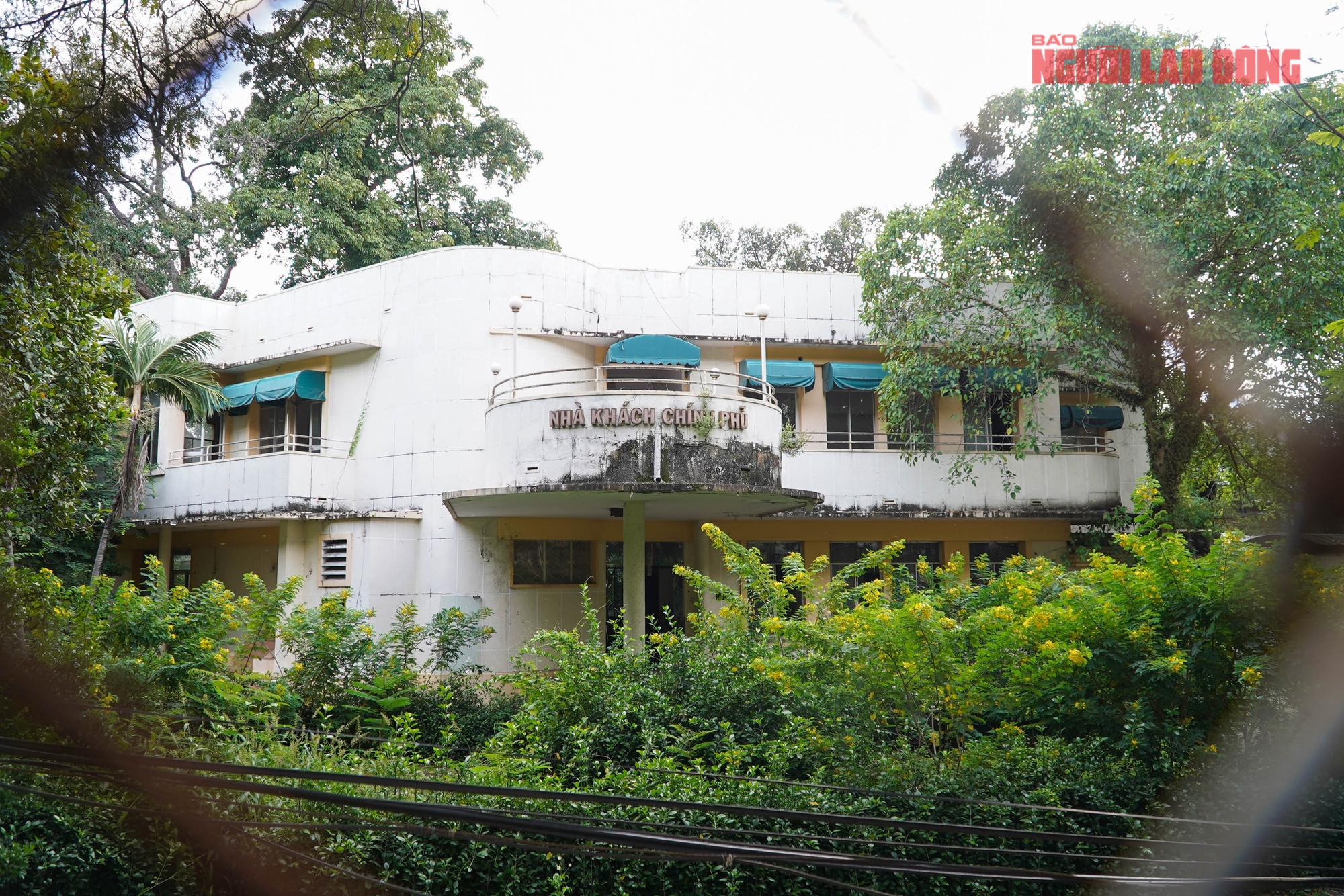 Ch&ugrave;m ảnh: Khu đất Bến Nh&agrave; Rồng, số 1 L&yacute; Th&aacute;i Tổ sẽ l&agrave;m kh&ocirc;ng gian văn h&oacute;a Hồ Ch&iacute; Minh v&agrave; c&ocirc;ng vi&ecirc;n - Ảnh 10.