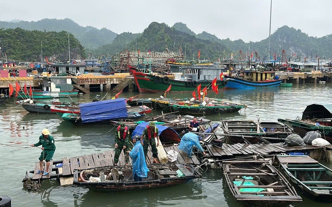 Kích hoạt biện pháp ứng phó với bão số 12