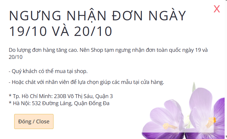 - Ảnh 22.