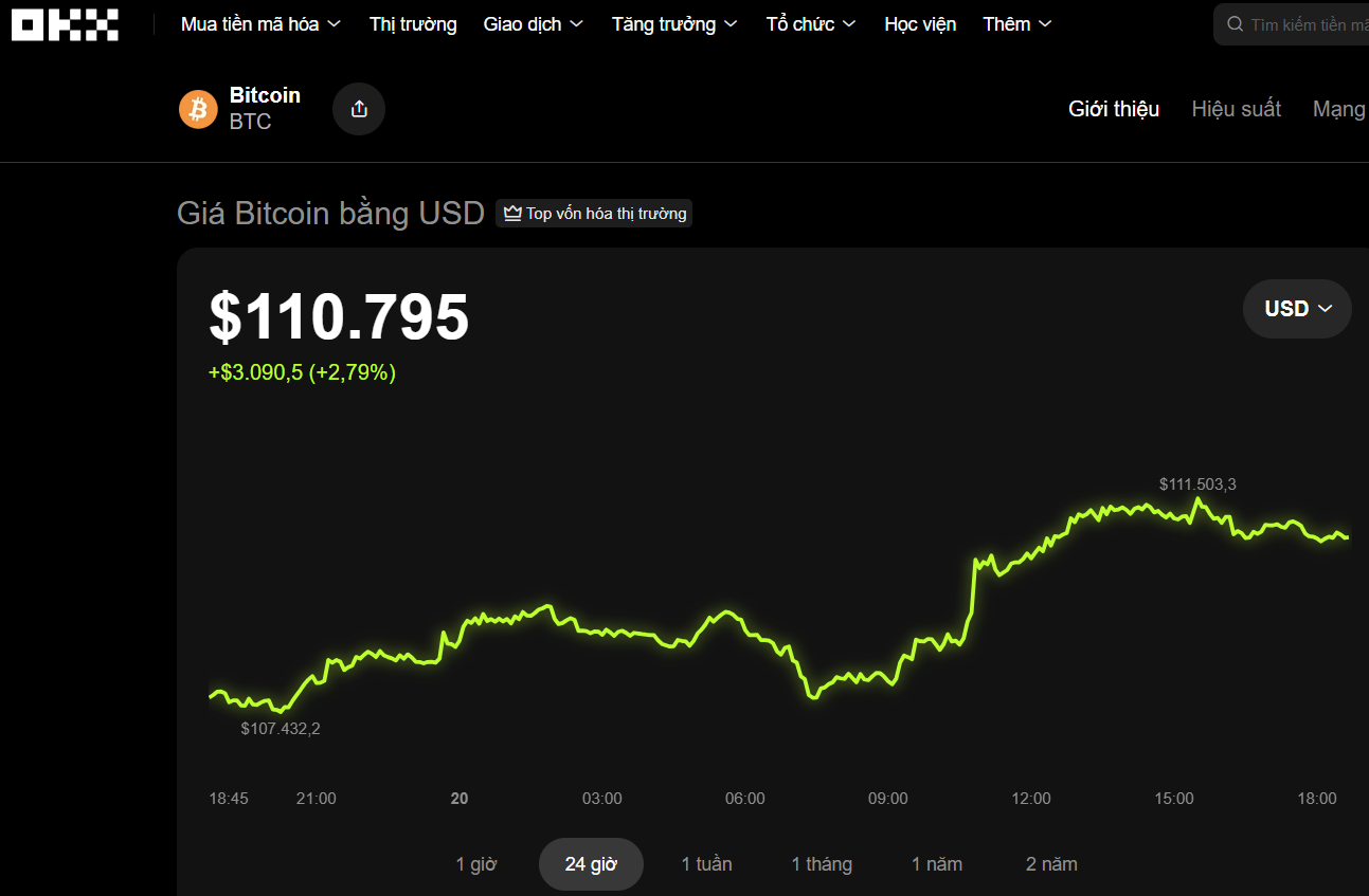 Thị trường tiền số h&ocirc;m nay, 20-10: Bitcoin đ&atilde; lấy lại được đ&agrave; phục hồi? - Ảnh 1.