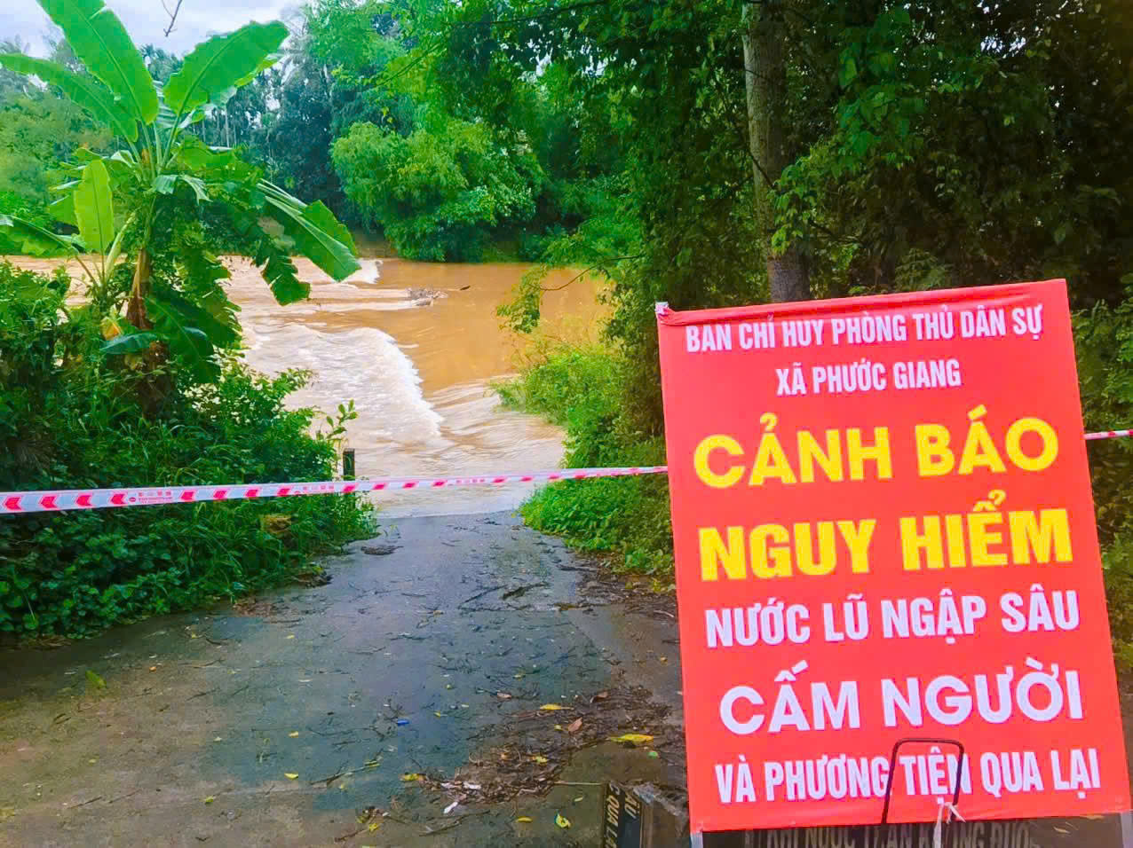 Quảng Ng&atilde;i bắn ph&aacute;o hiệu khẩn cấp giữa đ&ecirc;m, k&ecirc;u gọi t&agrave;u thuyền v&agrave;o bờ tr&aacute;nh b&atilde;o - Ảnh 3.