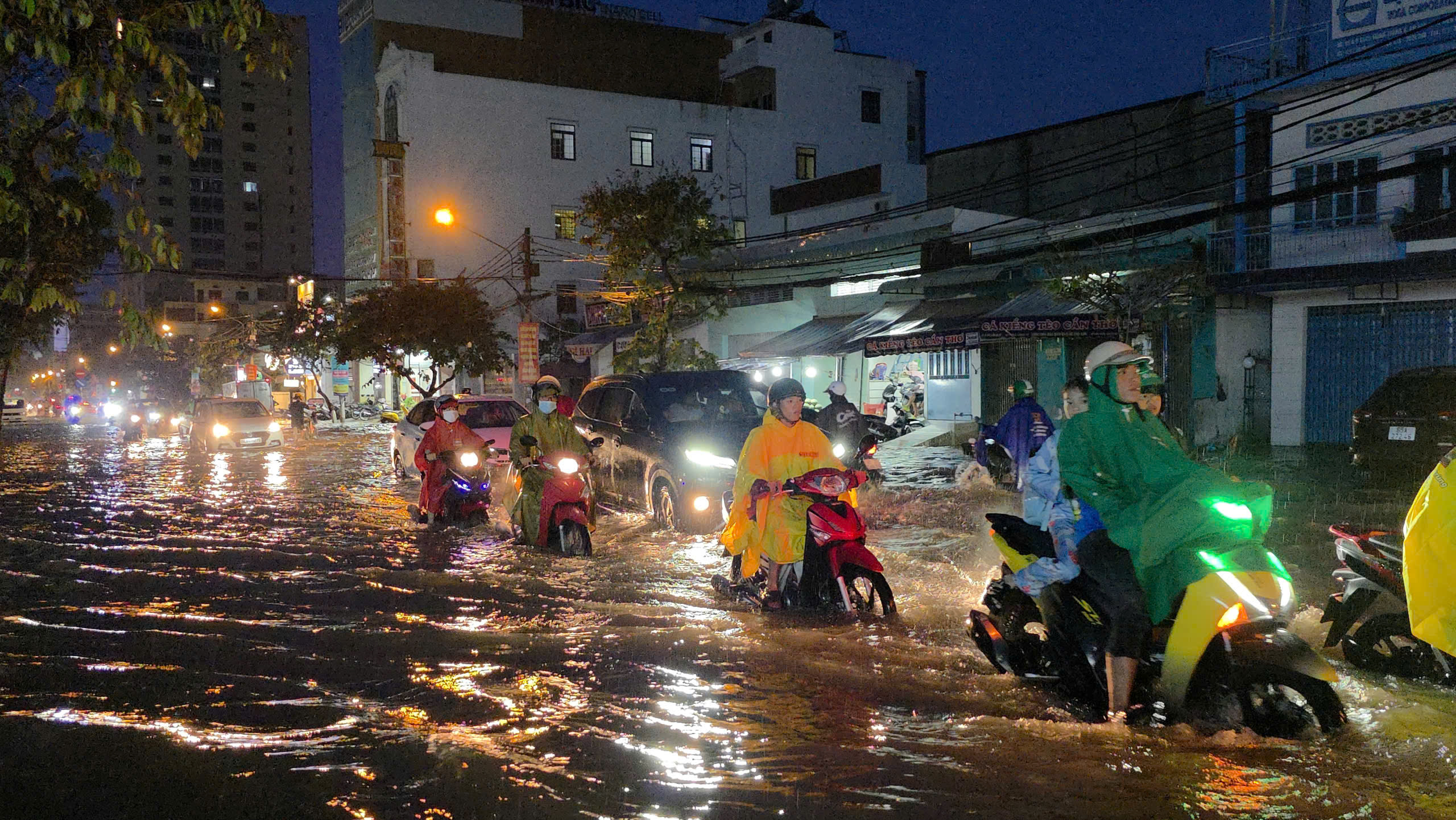 Triều cường tại Cần Thơ đạt mức lịch sử , người dân bì bõm giữa phố - Ảnh 3.