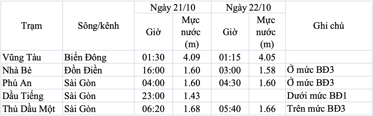 Cảnh b&aacute;o triều cường g&acirc;y ngập ở TP HCM - Ảnh 2.