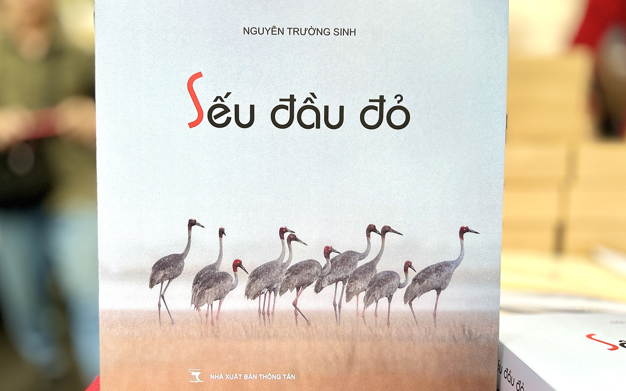 Hành trình 10 năm "mong đợi ngày sếu trở về"