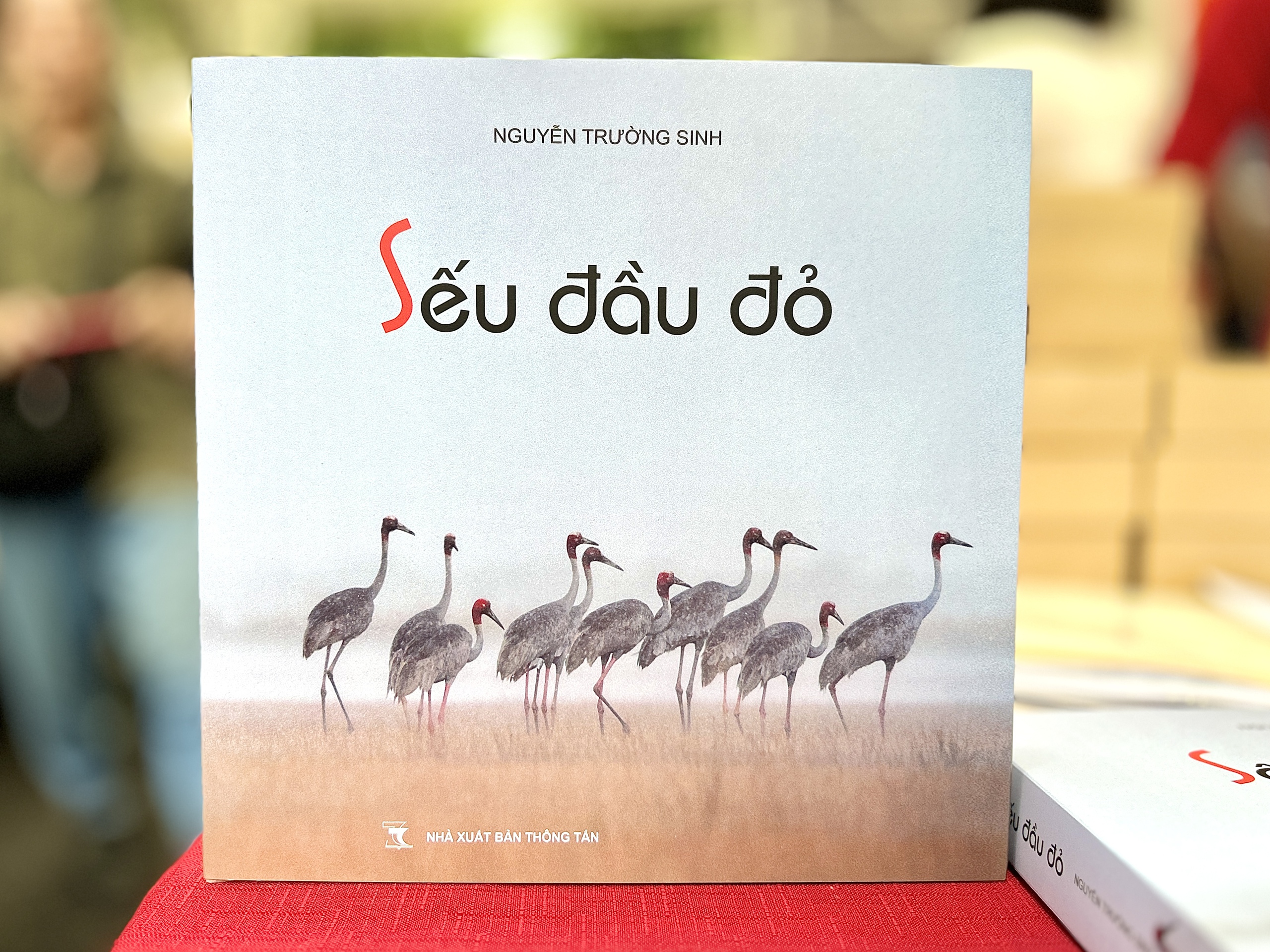 H&agrave;nh tr&igrave;nh 10 năm "mong đợi ng&agrave;y sếu trở về" - Ảnh 1.