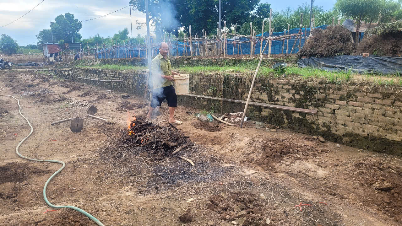 "Thủ phủ" đ&agrave;o, quất H&agrave; Nội lo mất Tết - Ảnh 2.