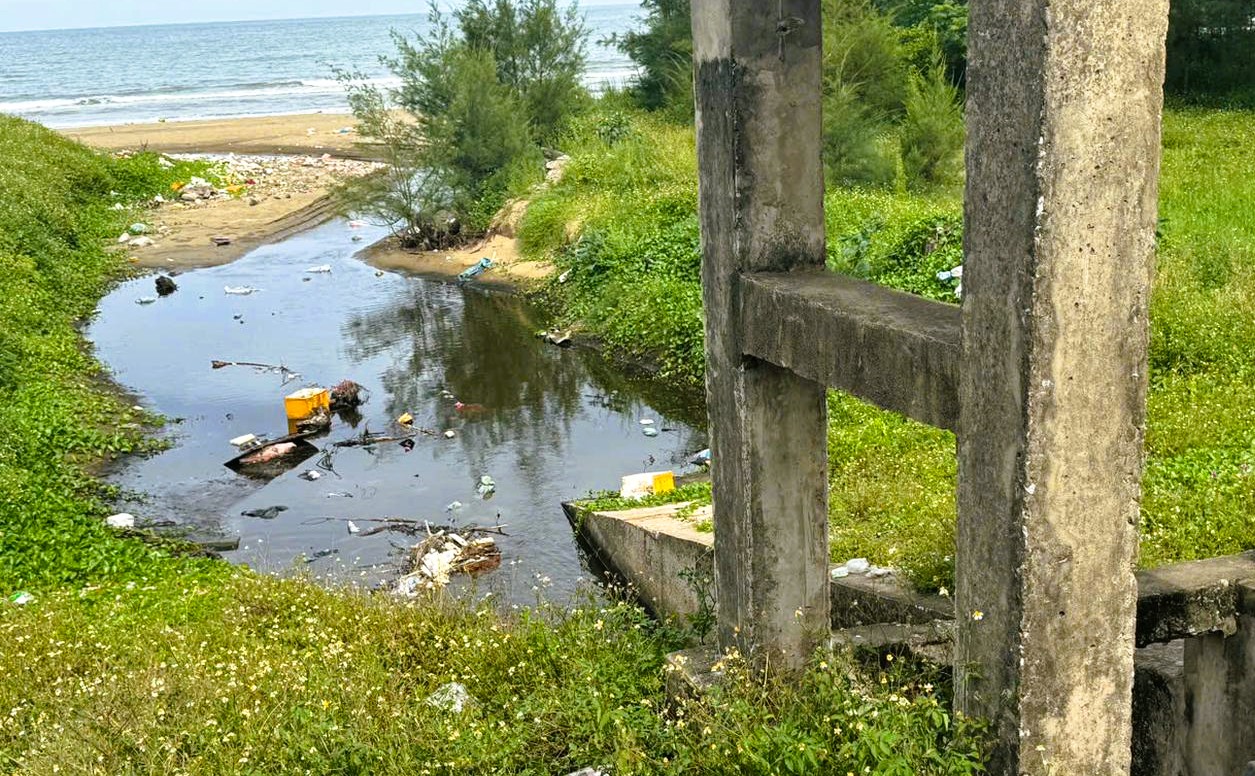 Thanh H&oacute;a chỉ đạo chấm dứt t&igrave;nh trạng nu&ocirc;i t&ocirc;m tr&aacute;i ph&eacute;p, g&acirc;y &ocirc; nhiễm m&ocirc;i trường - Ảnh 2.