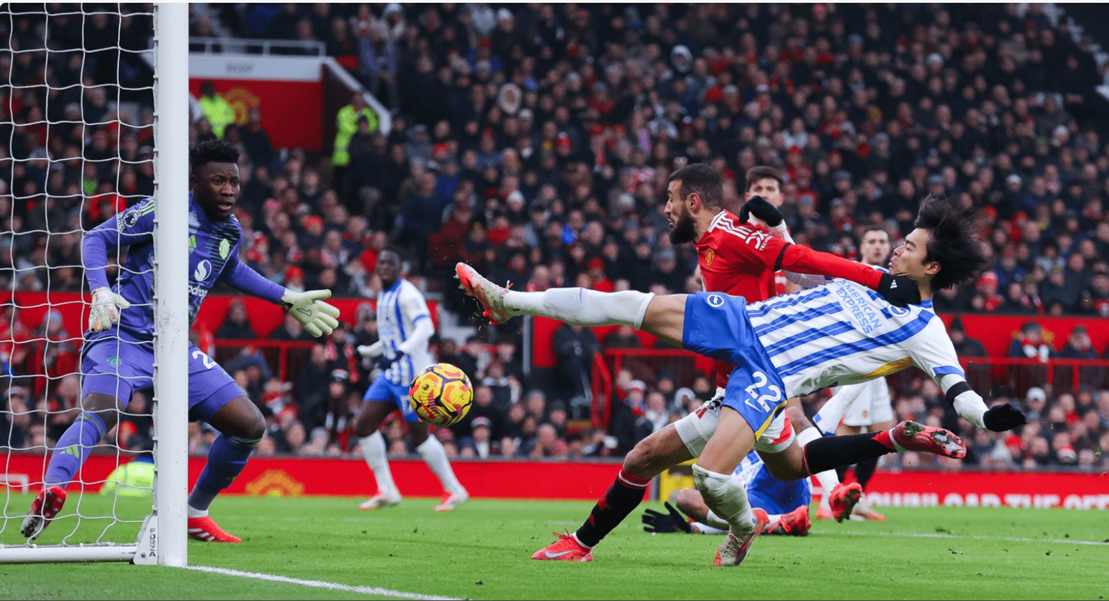 Soi tỉ số trận Manchester Utd – Brighton: Không thễ bắt nạt Chim mòng biển - Ảnh 1.