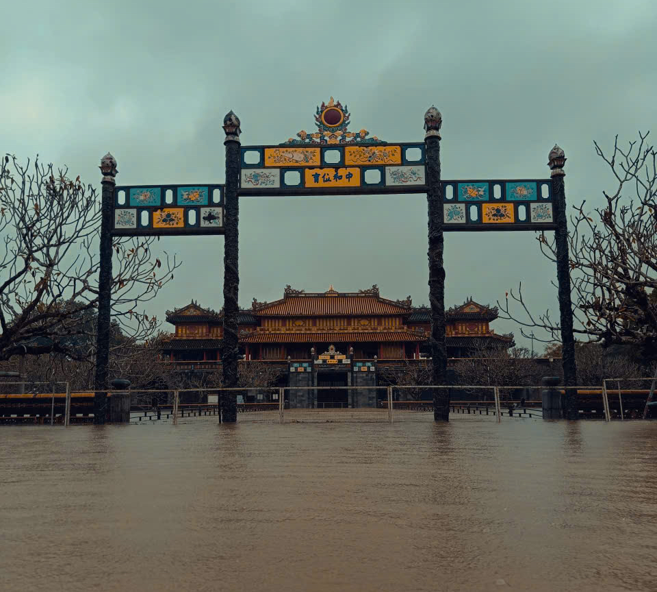  - Ảnh 4.