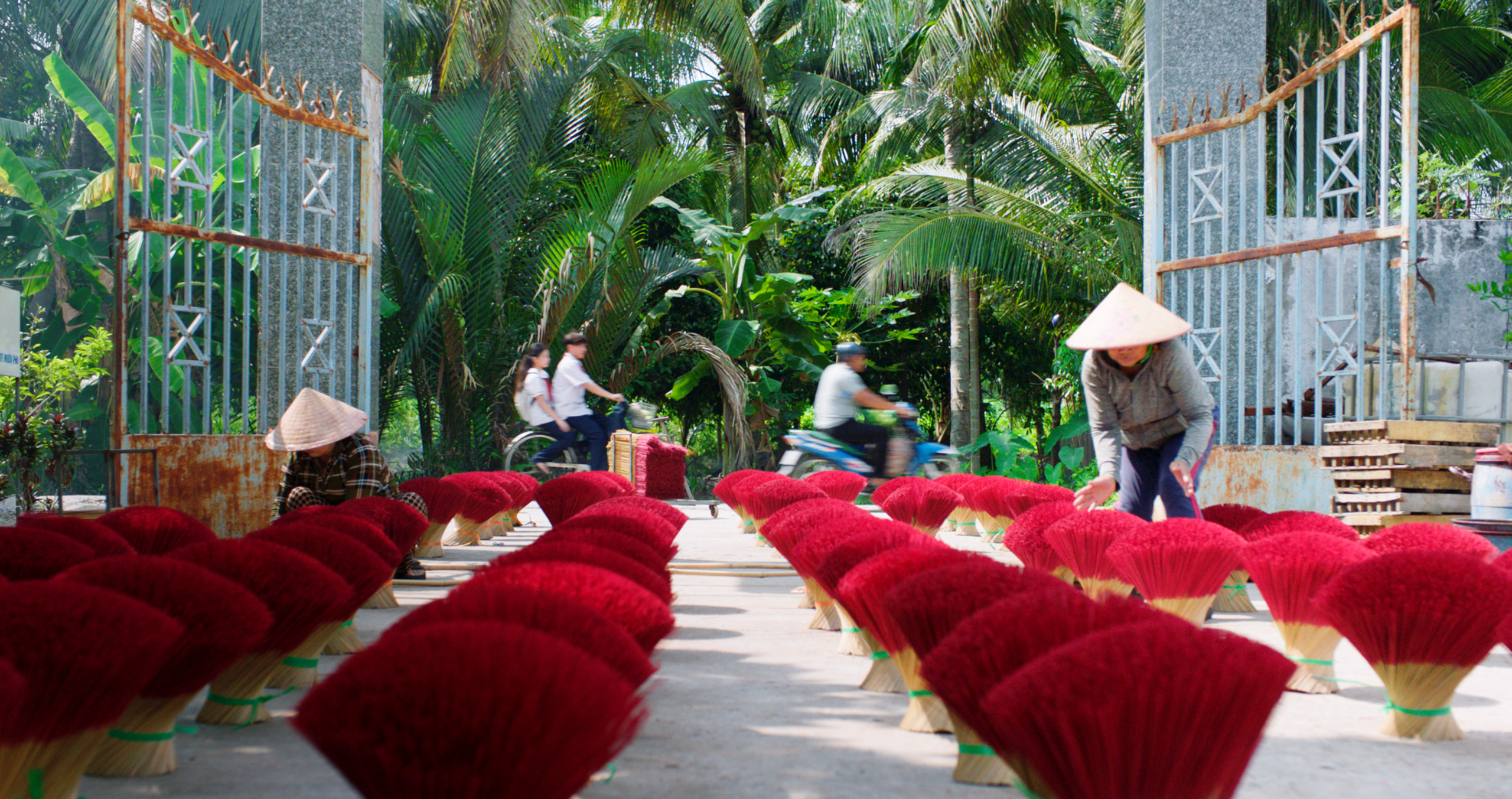 NSƯT Hữu Ch&acirc;u "trăn trở" hết cỡ v&igrave; Trương Minh Thảo - Ảnh 3.