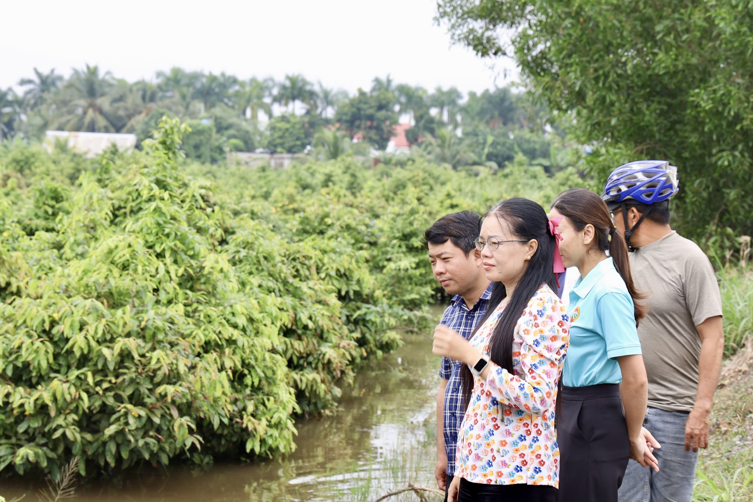 “Thủ phủ mai vàng” Bình Lợi oằn mình trong biển nước - Ảnh 12.