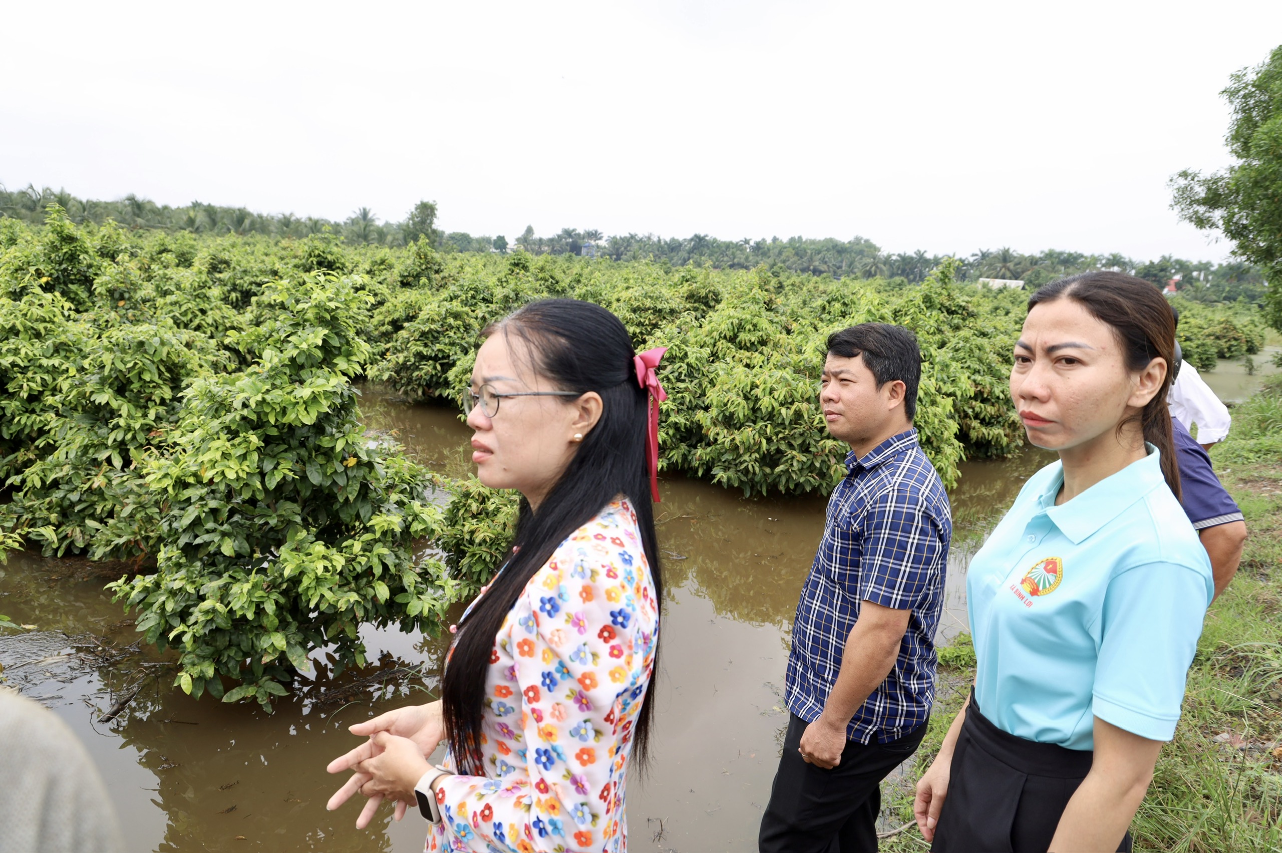 “Thủ phủ mai vàng” Bình Lợi oằn mình trong biển nước - Ảnh 11.