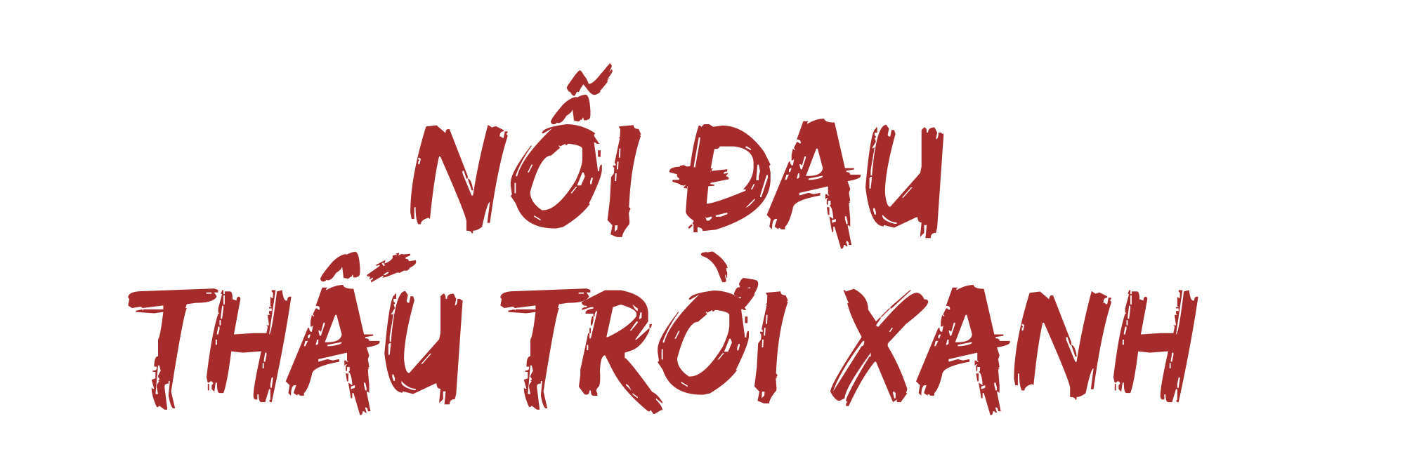 Kinh hoàng siêu bão 40 năm trước - Ảnh 16.