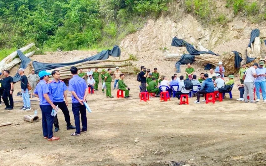 Gia Lai buộc thôi việc 5 cán bộ kiểm lâm đang bị bắt tạm giam